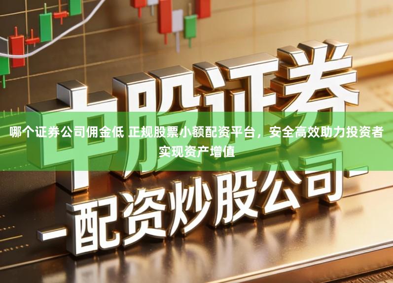 哪个证券公司佣金低 正规股票小额配资平台，安全高效助力投资者实现资产增值