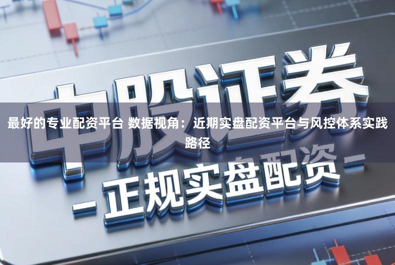 最好的专业配资平台 数据视角:近期实盘配资平台与风控体系实践路径