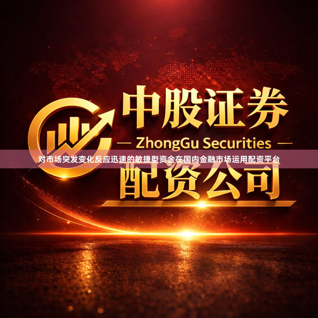 对市场突发变化反应迅速的敏捷型资金在国内金融市场运用配资平台