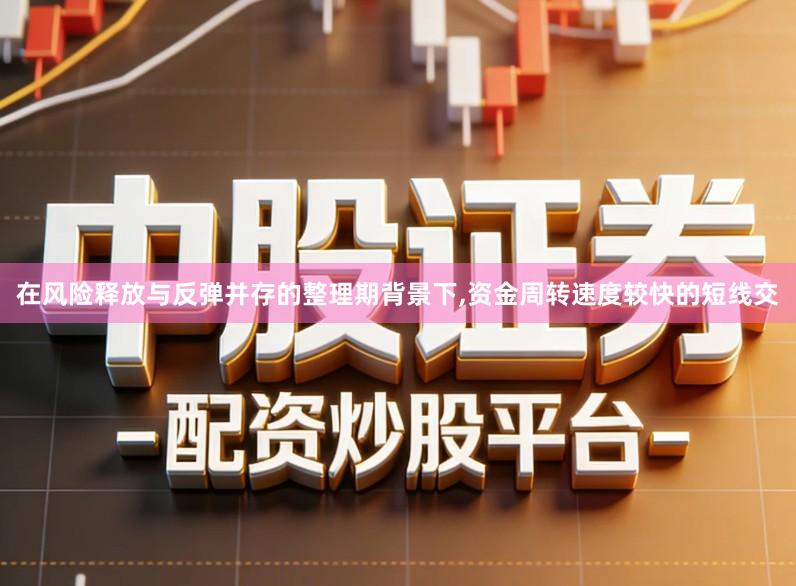 在风险释放与反弹并存的整理期背景下,资金周转速度较快的短线交
