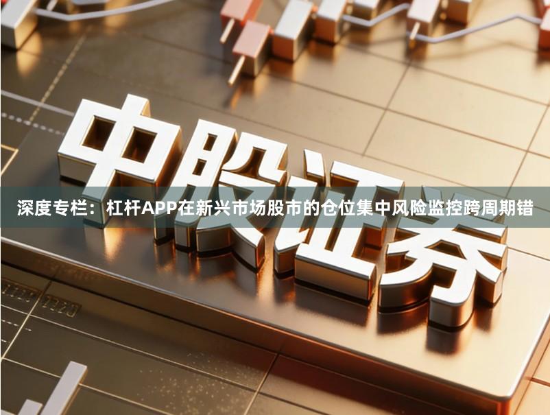 深度专栏：杠杆APP在新兴市场股市的仓位集中风险监控跨周期错