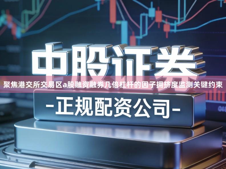 聚焦港交所交易区a股融资融券几倍杠杆的因子拥挤度监测关键约束